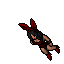 Nubi