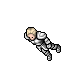 Arctii
