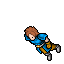 Rine Paladin