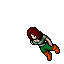 Hinter Dolphin