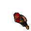 Dwarf