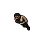 Dwarf