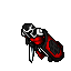 Dark Spider Tuliver
