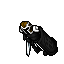Imperial Soldier