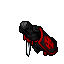 Imperial Soldier