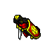 Imperial Soldier