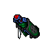 Shen Mra