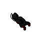 Blackk Cactus