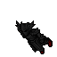 Pharaxe