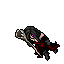 Rossa Herb