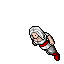 Dwarf