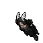Shadowmaster