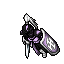 Tallow Sloop