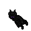 Proto Mann