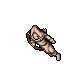 Nubi