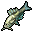 Trout
