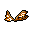 Insect Wing