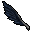 Black Feather