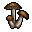 Brown Mushroom