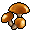 Orange Mushroom