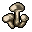 Wood Mushroom