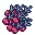 Raspberry