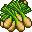 Celery