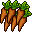 Exotic Carrot