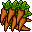 Exotic Carrot